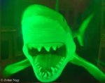 green shark mouth.jpg