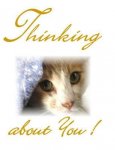 155474-Thinking+of+you+graphics+11.jpg
