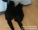 IMG_20160430_060059.jpg