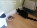 IMG_20160430_075828.jpg