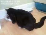 IMG_20160430_091254.jpg