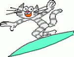 surfin' kitty.gif