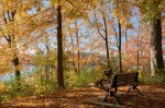 Fall at Saunders Pond 04.jpg