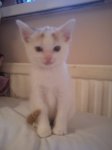 thumbnail_IMG_2162.jpg