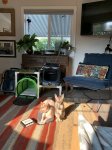 149D5218-91F0-416E-9263-C7F77766DF72.jpeg
