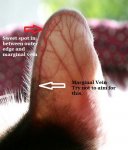 C2B8079A-B471-4FA6-AC36-9AC1C8D6DCCA.jpeg