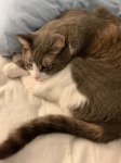 IMG_3115.jpeg