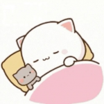 upload_2024-5-30_0-57-48.png
