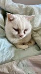 upload_2024-6-4_18-18-23.jpeg