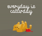 upload_2024-6-22_10-45-59.png