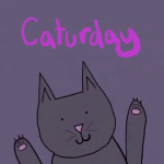 upload_2024-7-7_0-56-42.png