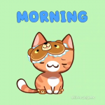 upload_2024-7-9_9-52-27.png