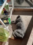 IMG_1654.jpeg