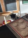 IMG_1662.jpeg