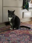 IMG_1683.jpeg