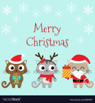 upload_2024-12-22_7-51-52.png