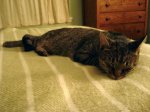 DSC01536.JPG