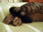 DSC01537.JPG
