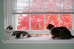DSC01949.JPG