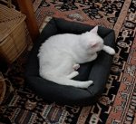 20250309_223002.jpg