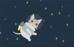 upload_2025-3-16_12-9-0.jpeg