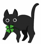 upload_2025-3-29_17-33-35.png