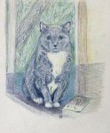 IMG_0867.jpeg