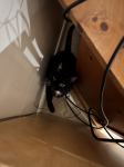 upload_2025-4-7_19-21-31.png