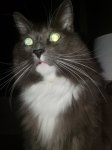 20210316_071635.jpg