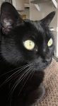 upload_2025-4-19_19-19-4.png