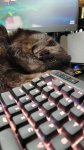 20250419_171828.jpg