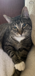 upload_2025-4-21_19-34-24.png