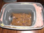 IMG_4486forum.JPG