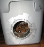 IMG_4487cforum.JPG