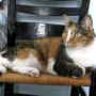 Tammy and Blaze