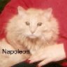 LindaLee & Napoleon