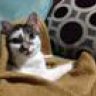 KittyMom777