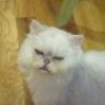 Kathy&Powder