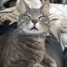 LeosGotTheBetus