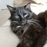 Binx's Mom