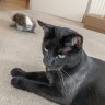 Tom & Monty