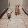Jaime & Mowgli