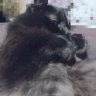 Wilma and her Little Girl