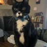 Jenny&Tux