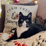 Miss Kitty Berry