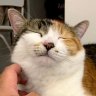 Nicole and Mochi