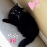 Baby ILa's Momma