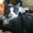 Bridget & Lord Nelson