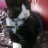 Kako & Tux
