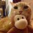 lovemycat444